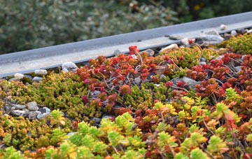 the cost of Glogue green roof installation