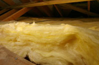 Glogue pitch roof insulation