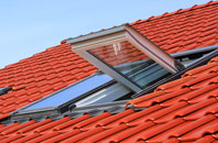 Glogue roof window